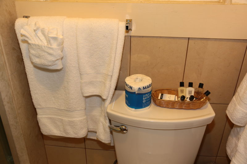 Nash Hotel toilet inside the private  room